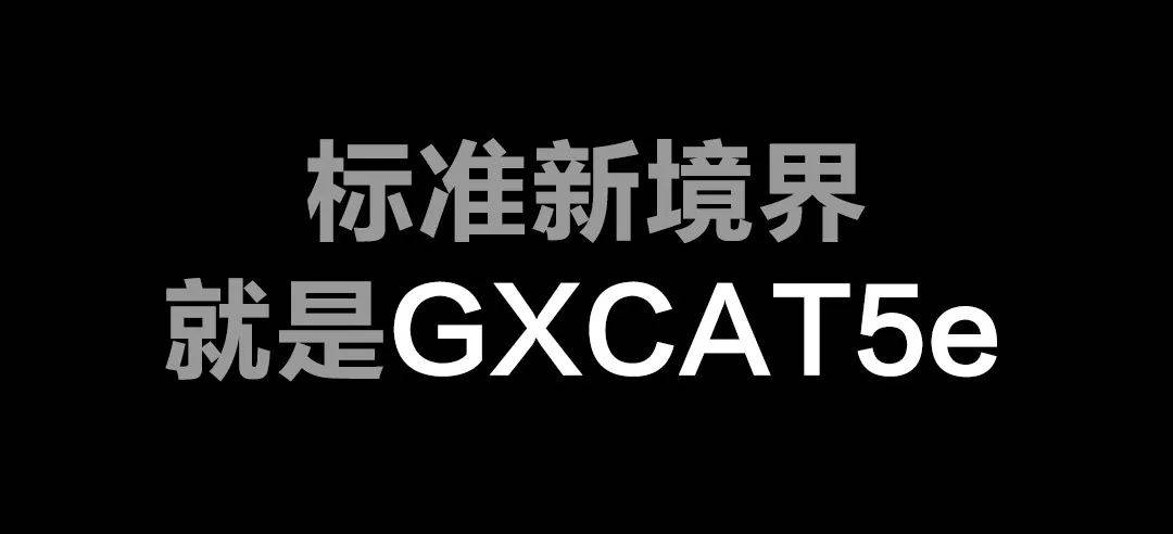 标准新境界就是GXCAT5e